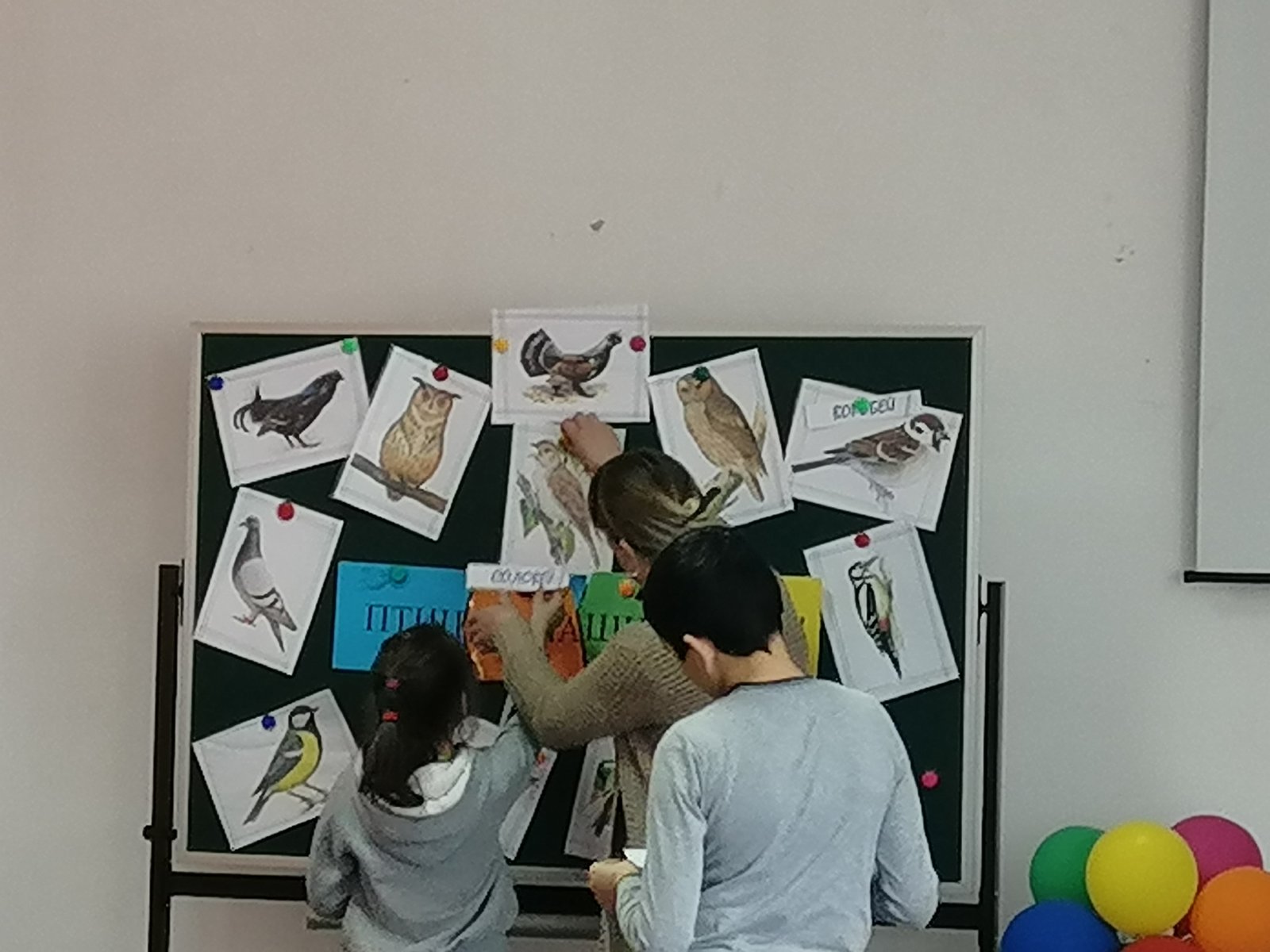 Сегодня в школьном оздоровительном лагере празднуют Международный День птиц.